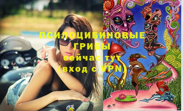 ECSTASY Семилуки