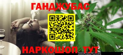 трава Бийск