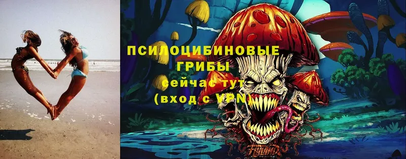 Псилоцибиновые грибы прущие грибы  Алапаевск 
