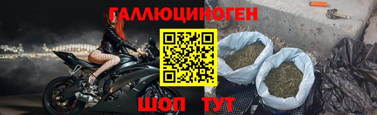 Алапаевск  закладка  Вход с VPN  Псилоцибиновые грибы Cubensis 