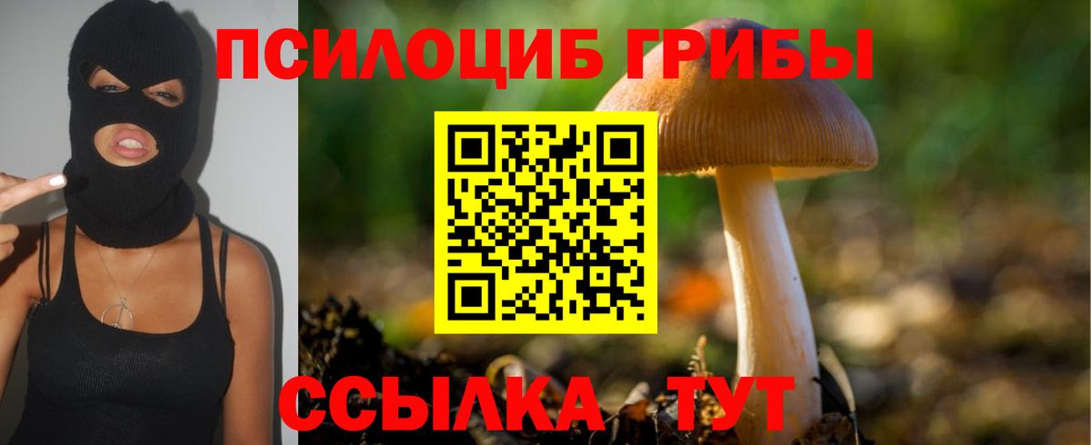Галлюциногенные грибы MAGIC MUSHROOMS  Алапаевск 